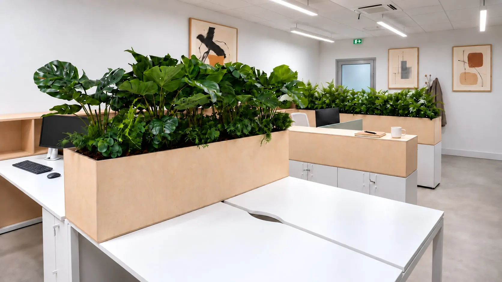 Postes de travail blancs séparés par des jardinières en bois dans l’open space